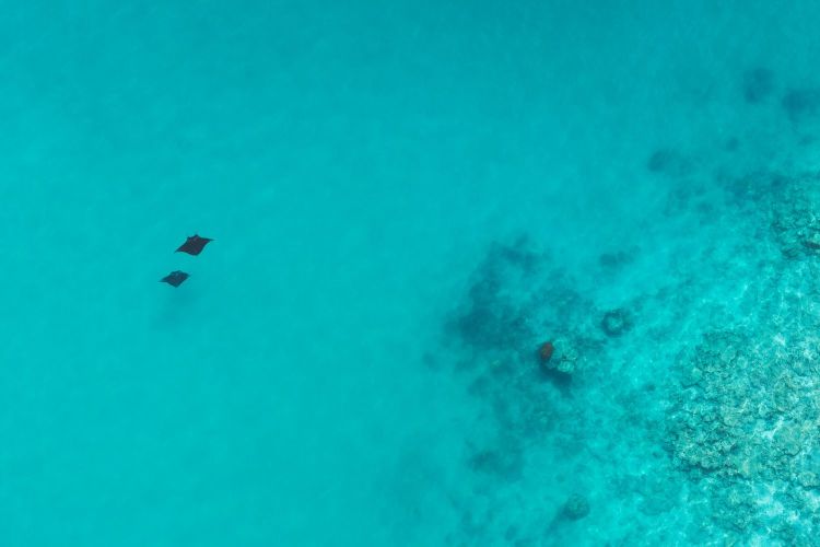 forum rencontre nord