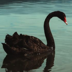 Ikea Type Furniture Stores In Ho Chi Minh Ho Chi Minh City Forum