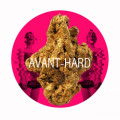 avant-hard