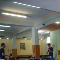 anesti