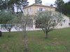 brimi