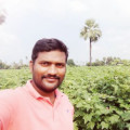 thirumalpatel