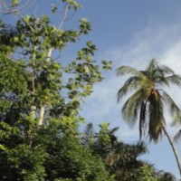 DewegwijzerinSuriname