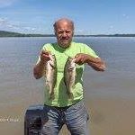 Billafish2