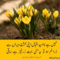 ashfaq1ahmed