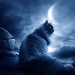 Divine Bastet