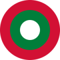 male maldives happ