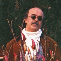 babbocorso