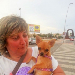 corinne christine sellier