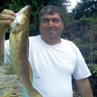candia33