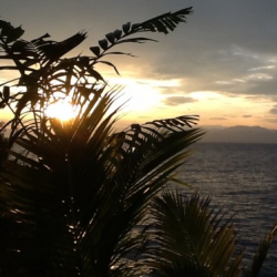 MustaKano