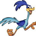 Roadrunner1