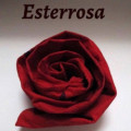 Esterrosa