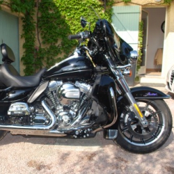 harley31