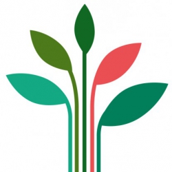 Meli Green Seed