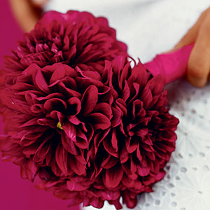 dahliafernandez