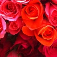Rouge orangé