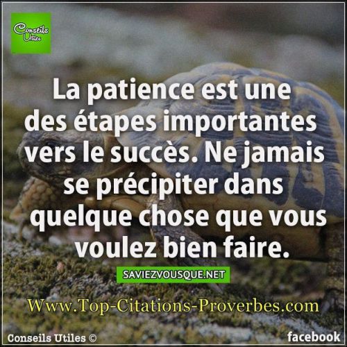 rajae96