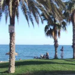 mbelle