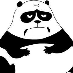 baldingpanda