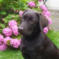 Marie Madeleine KE