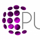 Purple Agency
