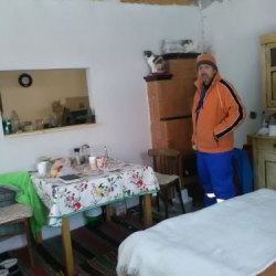 Maiadi