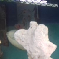 Jenny2307