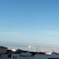 papillon47