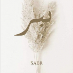 Hbiba