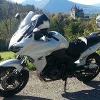 Choucas83