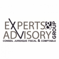 Experts &amp; Advisory Group