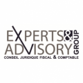 Experts & Advisory Group