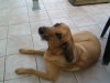 corinne27