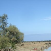 odilecloarec