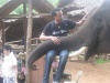 BOSTRAL