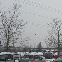 Bringhtdon