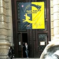 Stefania Consigliere