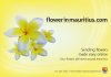 flowerinmauritius