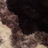 fighter04