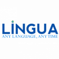 Eric_Lingua