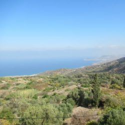 vive la crete