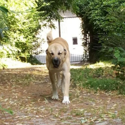 TheDukeBE