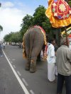 Pondy
