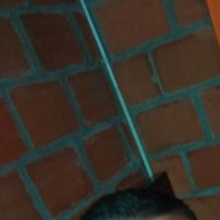 Henry Mendoza Vargas