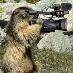 Adourmedia