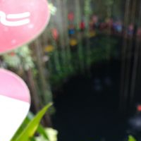 Lourdes Loredo Flores