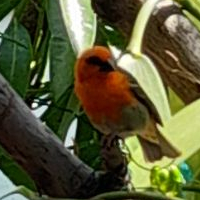 Eli-za-beth quintana