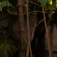 Roxana Mendez Gonzalez