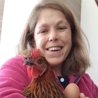 Claire Somers